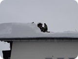 k-20190112_092901