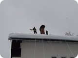 k-20190112_124258