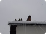 k-20190112_133413